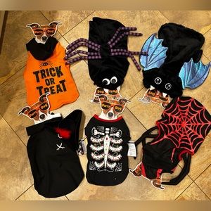 Pet costumes size medium